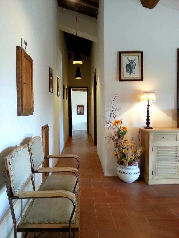 Cugnanello