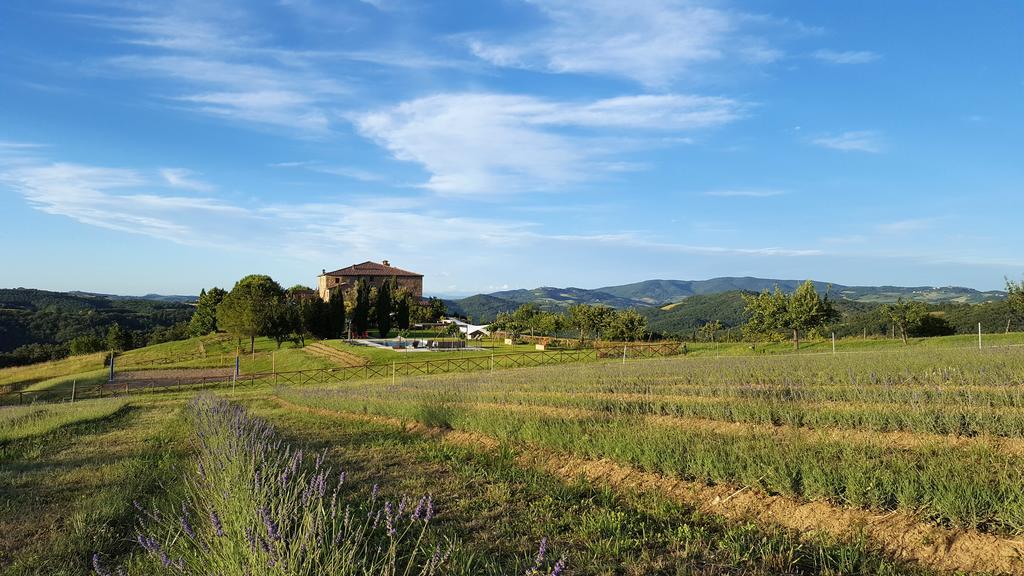 Cugnanello Villa Anqua